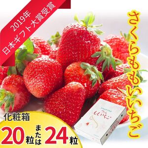 さくらももいちご(20粒または24粒入り化粧箱) ※2025年1月上旬頃から発送 ※北海道・沖縄・離島への配送不可