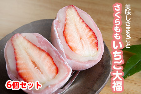さくらももいちご大福 6個 福屋 盛壽の郷《12月下旬-2月末頃出荷》【配送不可地域あり】(北海道・東北・沖縄・離島) 