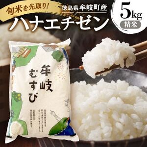 令和7年産「新米を先取り!徳島県牟岐町産ハナエチゼン5kg(精米)」[安心の検査米]