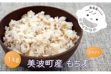 美波町産「もち麦」と伊座利産「あらめ入佃煮」のセット(もち麦1kg+あらめ入佃煮6本)