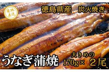 徳島県産 うなぎ蒲焼 こだわりの炭火焼 大きめ2尾(170g×2尾)