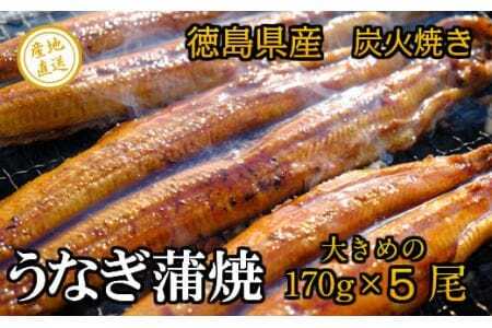 Y@Ȃā@̒YΏā@傫5i170×5j