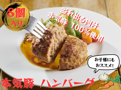 本気豚使用 ハンバーグ8個入
