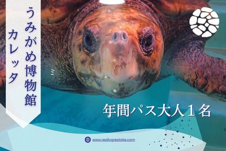 日和佐うみがめ博物館カレッタ入館年間パス [大人1名分]