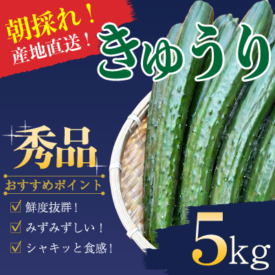 東浦農園の朝採れ新鮮きゅうり 秀品 約5Kg 清流日和佐川の恵み 産地直送