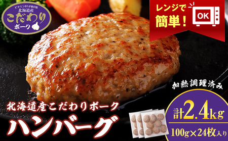 kCY|[N no[O 100g×24Zbg (M) 2.4kg X^[[ SZ003