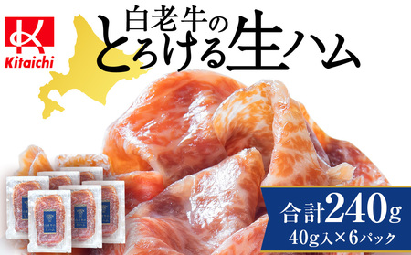 V̐n 40g×6pbN v240g Y kCY јa uh CE003  n n H  kCӂ邳Ɣ[