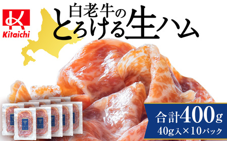 V̐n 40g×10pbN v400g Y kCY јa uh CE004  n n H  kCӂ邳Ɣ[