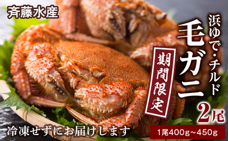 期間限定★ 浜ゆで!毛ガニ 約400g〜450g×2尾 チルド配送 7/17~7/30発送[斉藤水産] 北海道 冷蔵 チルド 毛蟹 カニ かに 白老 前浜