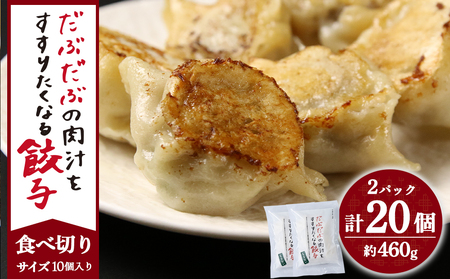 だぶだぶの肉汁をすすりたくなる餃子 20個（10個入×2パック） BE012
