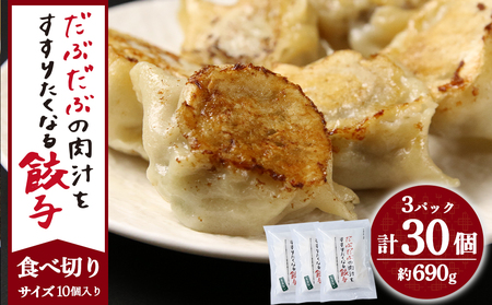 だぶだぶの肉汁をすすりたくなる餃子 30個（10個入×3パック） BE013