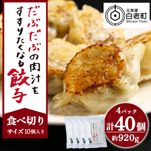 だぶだぶの肉汁をすすりたくなる餃子 40個（10個入×4パック） BE014
