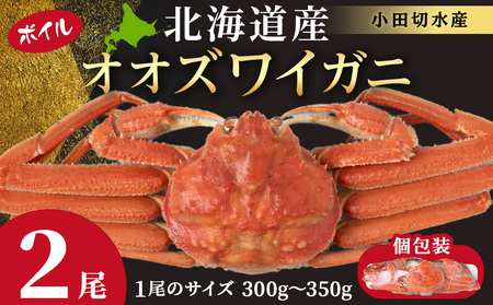 北海道産 大ズワイ 300g〜350g ×2尾 [斉藤水産] オオズワイ 蟹 かに カニ ボイル