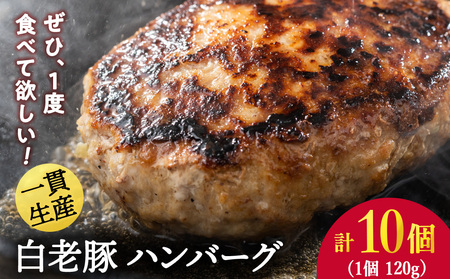 北海道産 白老豚 ハンバーグ 120g×10個セット
