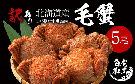 �y���ʌ���z�󂠂�уK�j 5������ �i300���`400���O��×5���j