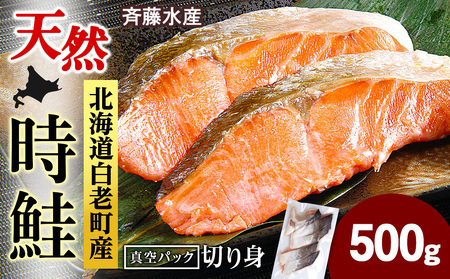 白老町産 時鮭 トキシラズ 500g 真空パック[斉藤水産]