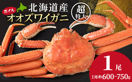大ズワイガニ姿600g〜750g×1尾[超特大]