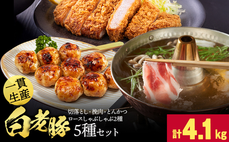 北海道産 白老豚 5種セット 合計4.1kg