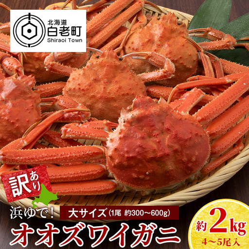 【7営業日以内発送】訳あり オオズワイガニオス 大サイズ (約300～600g) 浜ゆで 2kg (4～5尾入) AS223