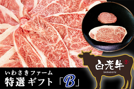 いわさきファーム白老牛 ギフト「B」セット 和牛 牛肉 スライス ステーキ 肉料理 北海道ふるさと納税