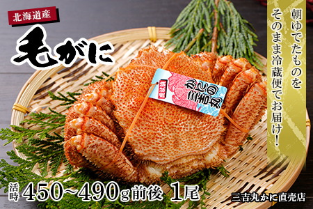 数量限定【朝ゆで】北海道産ボイル毛ガニ（活時450-490ｇ前後）1尾の