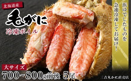 yTCYzkCY Ⓚ{CуKj (700g-800gO) 5 AS195 т ъI PKj т уJj I Jj kCӂ邳Ɣ[