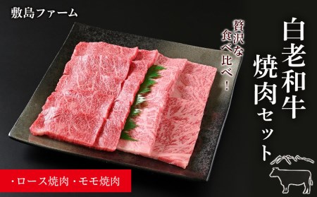 白老和牛焼肉セット[敷島ファーム]