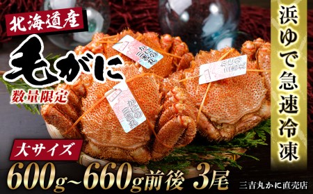 yTCYzkCY Ⓚ{CуKj (600g-660gO) 3 AS173 т {C ъI  I Jj kCӂ邳Ɣ[
