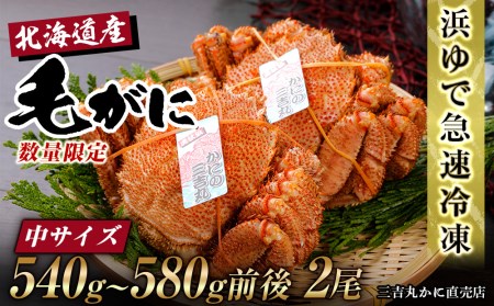 【中サイズ】北海道産 冷凍ボイル毛ガニ (540g-580g前後) 2尾 AS184