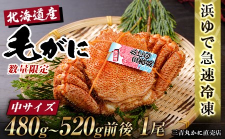 [中サイズ]北海道産 冷凍ボイル毛ガニ (480g-520g前後) 1尾