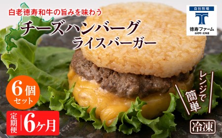  6J a `[Y CXo[K[ 6Zbg V јa no[K[  kC  y kCӂ邳Ɣ[
