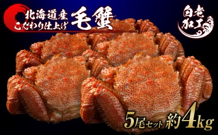 ъI {Cς Ⓚ 5Zbg 4kg BM288 {C т уKj {C I Jj kCӂ邳Ɣ[