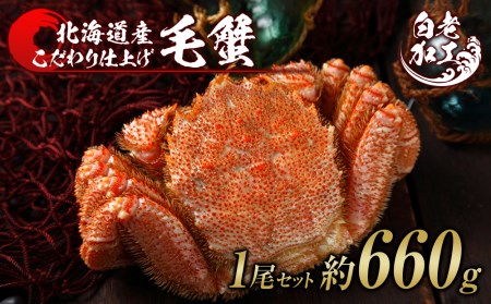 ъI {Cς Ⓚ 1Zbg 660g BM289 {C т уKj {C I Jj kCӂ邳Ɣ[