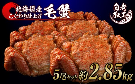ъI {Cς Ⓚ 5Zbg 2.85kg BM298 {C т уKj {C I Jj kCӂ邳Ɣ[