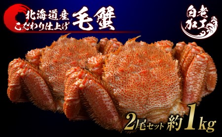 ъI {Cς Ⓚ 2Zbg 1kg BM300 {C т уKj {C I Jj kCӂ邳Ɣ[