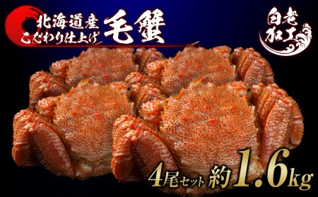 ъI {Cς Ⓚ 4Zbg 1.6kg BM250 {C т уKj {C I Jj kCӂ邳Ɣ[