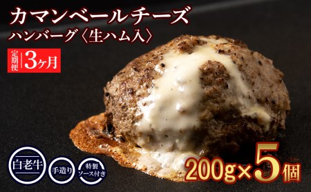 定期便3ヵ月 お楽しみ 北海道産 白老牛 カマンベールチーズハンバーグ 5個セット 冷凍 チーズ イン ハンバーグ