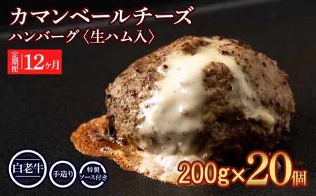 12 y kCY V J}x[`[Yno[O 20Zbg Ⓚ `[Y C no[O BY120