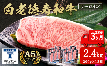 y3Jz V T[C Xe[L 200g×12 i2.4sj \[Xt a  Mtg kC  BJ076