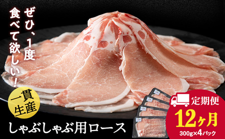 y 12JzkCY V [X Ԃԗp 300g×4pbN BV051 [X ؃[X ؓ kCӂ邳Ɣ[