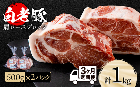 [定期便 3カ月]北海道産 白老豚 肩ロース ブロック 500g×2パック セット 冷凍 豚肉 料理