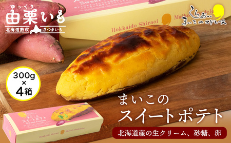 RI ܂̃XC[g|eg 11{×4 AR113