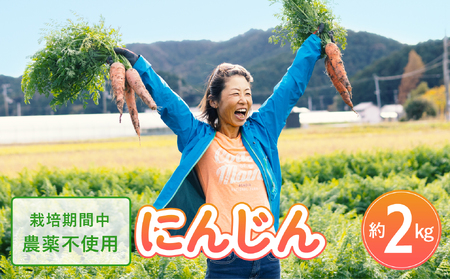 日本を平和にする人参 Peace&Carrots 約2kgセット 栽培期間中農薬不使用