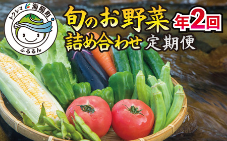 [定期便年2回]阿波の国海陽町 旬のお野菜詰め合わせセット10-13品×2回