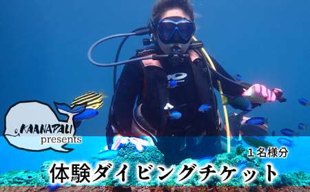 徳島最南端の海で体験ダイビング!