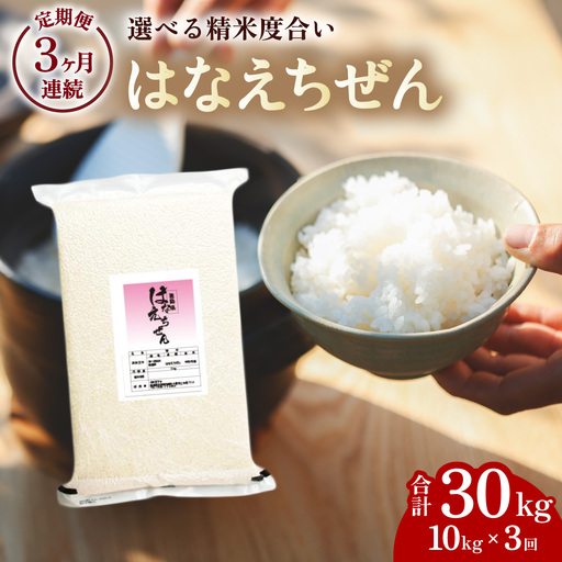 はなえちぜん 白米 5kg×2袋×3回 3ヶ月連続 定期便 30kg 真空パック ハナエチゼン 米 簡易梱包 エコ梱包