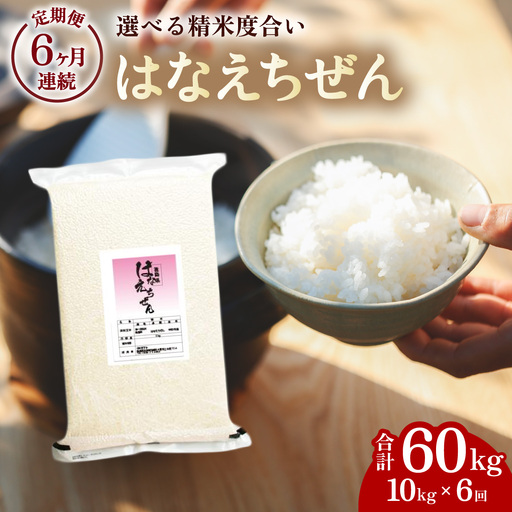 はなえちぜん 白米 5kg×2袋×6回 6ヶ月連続 定期便 60kg 真空パック ハナエチゼン 米 簡易梱包 エコ梱包