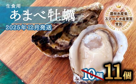 先行予約 あまべ牡蠣 11個 牡蠣 シングルシード 生食用 殻付き かき カキ オイスター 生ガキ 生牡蠣 生がき 生かき ギフト 貝 旨味 [2025年12月発送]