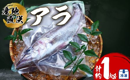 アラ 約1kg 産地直送 冷凍 下処理済 あら 𩺊 高級魚 水揚げ時重量約1kg 下処理後約900g