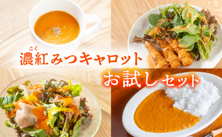濃紅みつキャロット お試し セット ドレッシング 2種×各1本 カレー 2食 ポタージュ 2食 人参 にんじん
